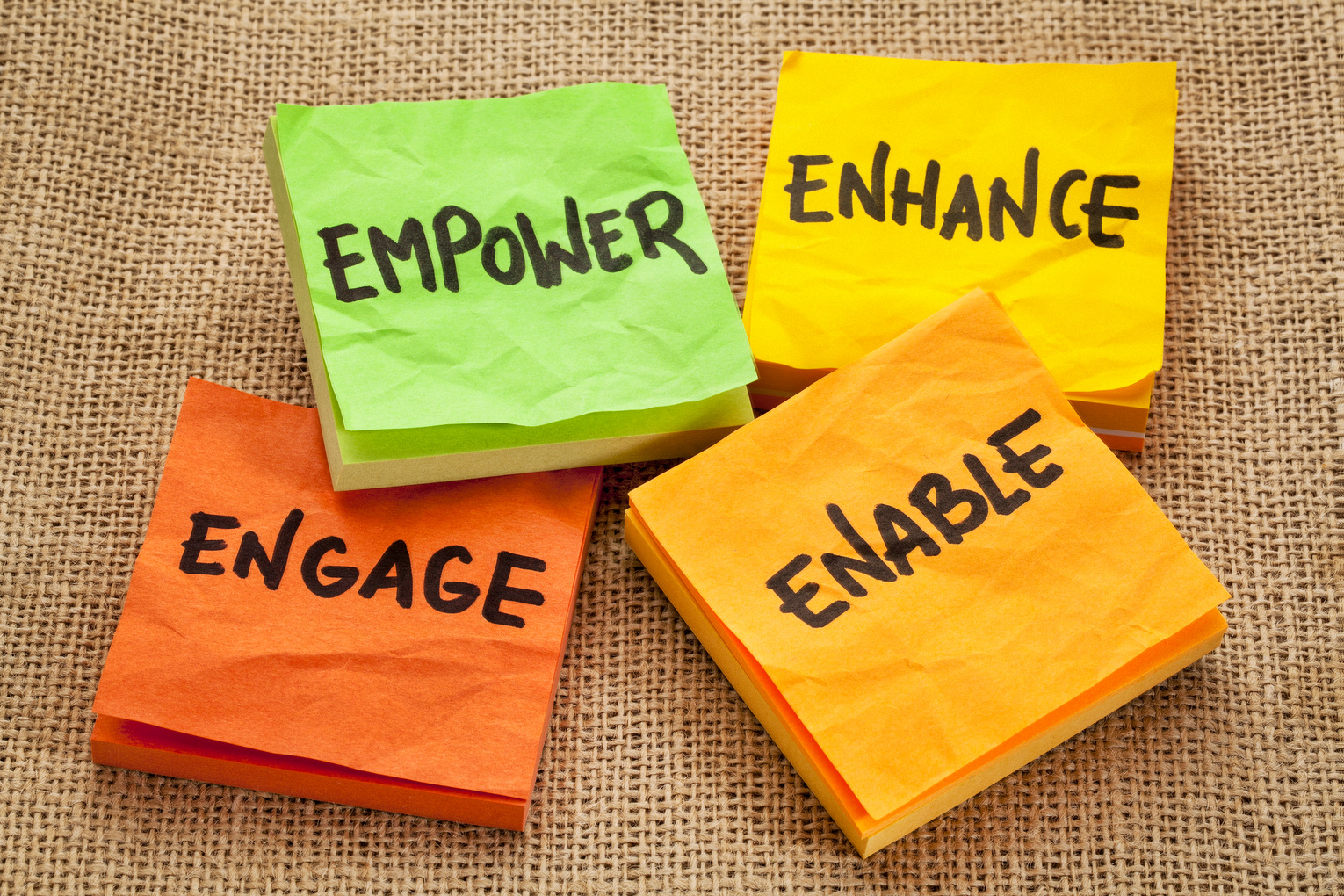 empower, enhance, enable and engage